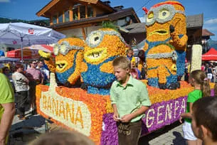 Blumencorso 2015 Bild 3