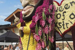 Blumencorso 2015 Bild 11