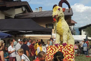 Blumencorso 2015 Bild 10