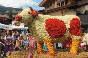 Blumencorso 2015 Bild 2