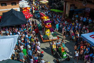 Blumencorso 2016 Bild 10