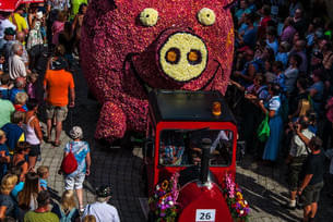 Blumencorso 2016 Bild 6