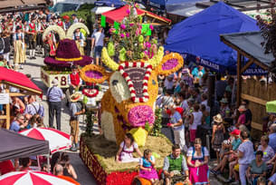 Blumencorso 2017 Bild 9