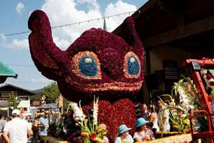 Blumencorso 2025 Bild 1
